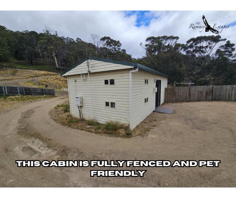 Mount Rumney Escapes - Platypus Cabin المظهر الخارجي الصورة